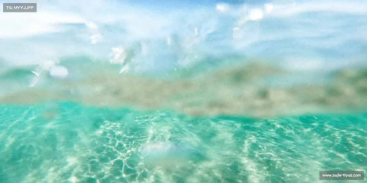 八戒体育——🏐腾空扣杀,排球的热血与默契!